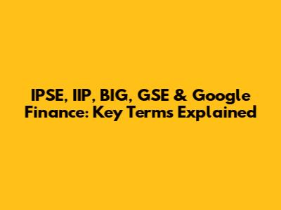 IPSE, IIP, BIG, GSE & Google Finance: Key Terms Explained