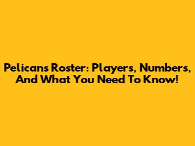 Pelicans Roster: Players, Numbers, And What You Need To Know!