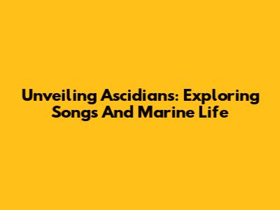Unveiling Ascidians: Exploring Songs And Marine Life